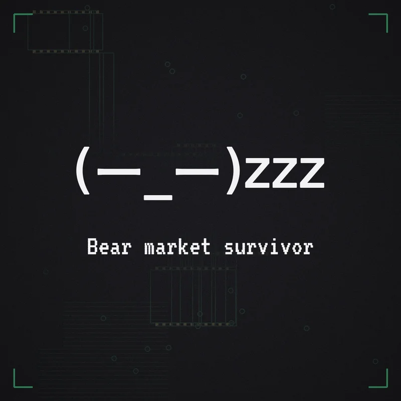 (ー_ー)zzz Bear market survivor