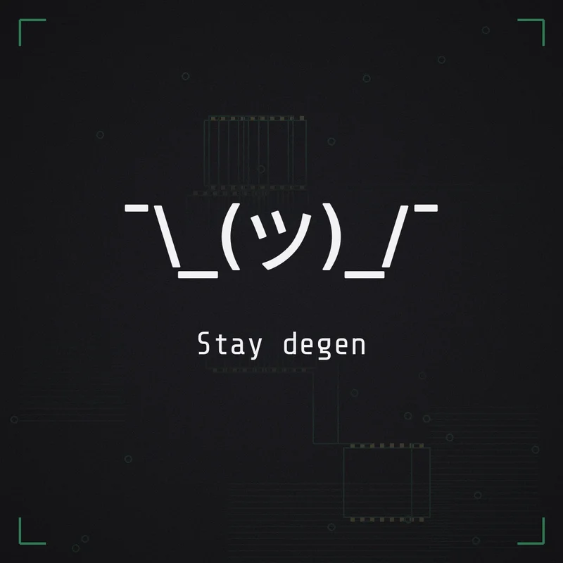 ¯\_(ツ)_/¯ Stay degen