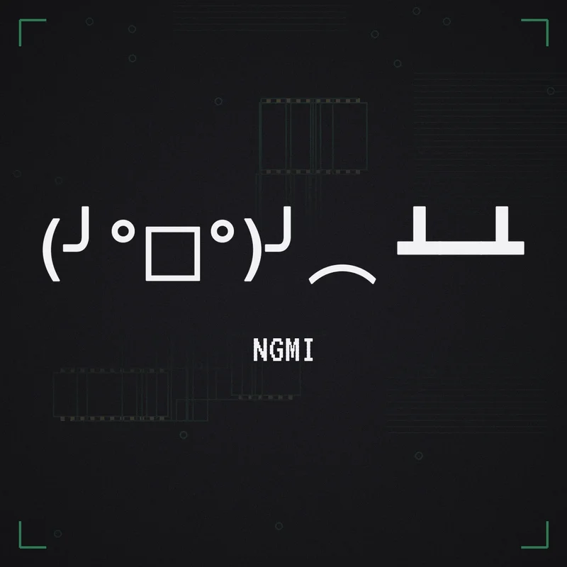 (╯°□°)╯︵ ┻━┻ NGMI