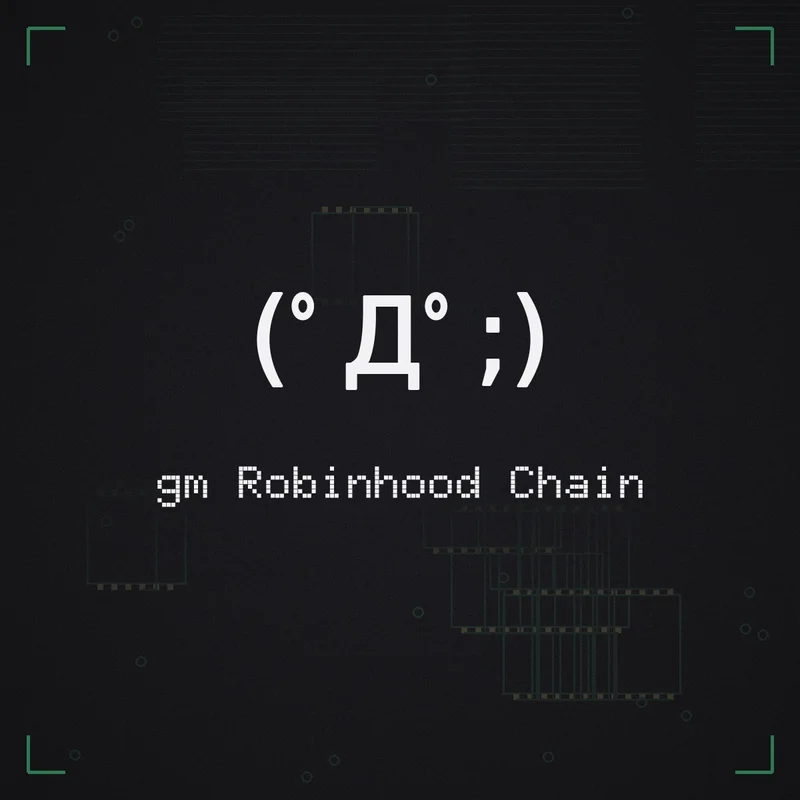 (゜Д゜;) gm Robinhood Chain