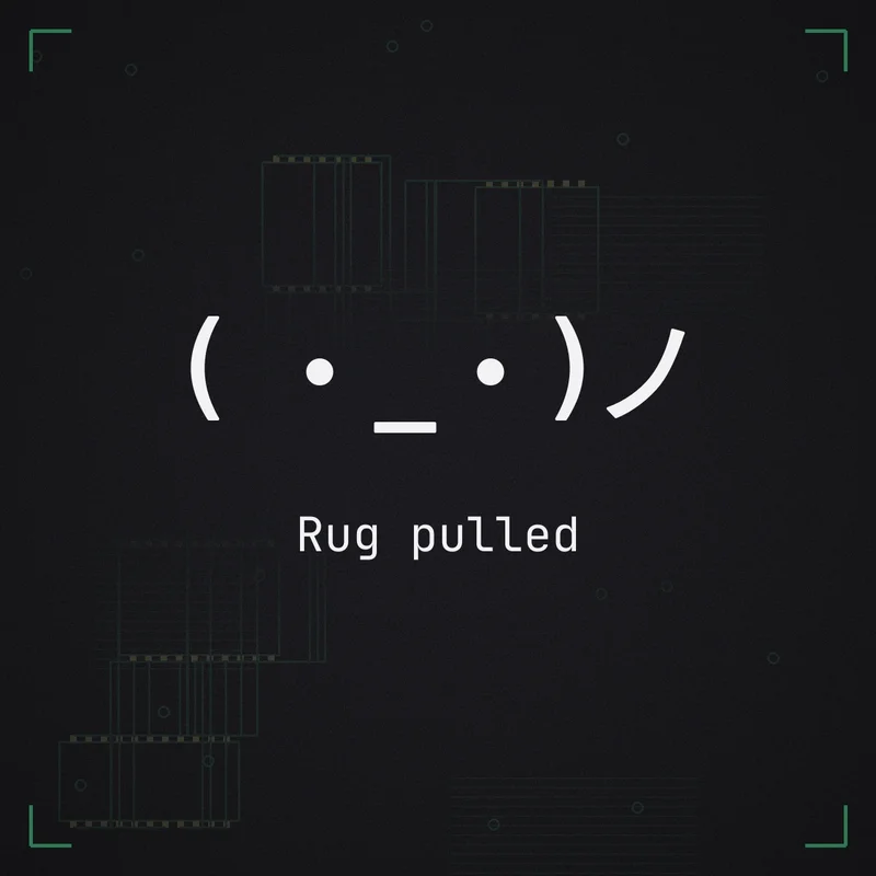 ( ・_・)ノ Rug pulled