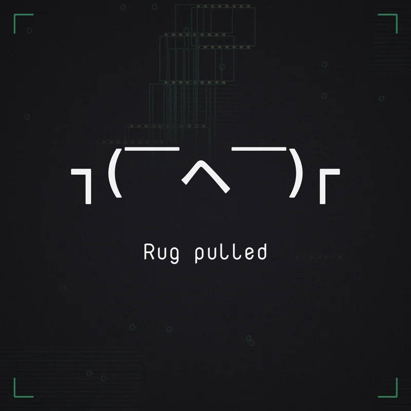 ┐( ̄ヘ ̄)┌ Rug pulled