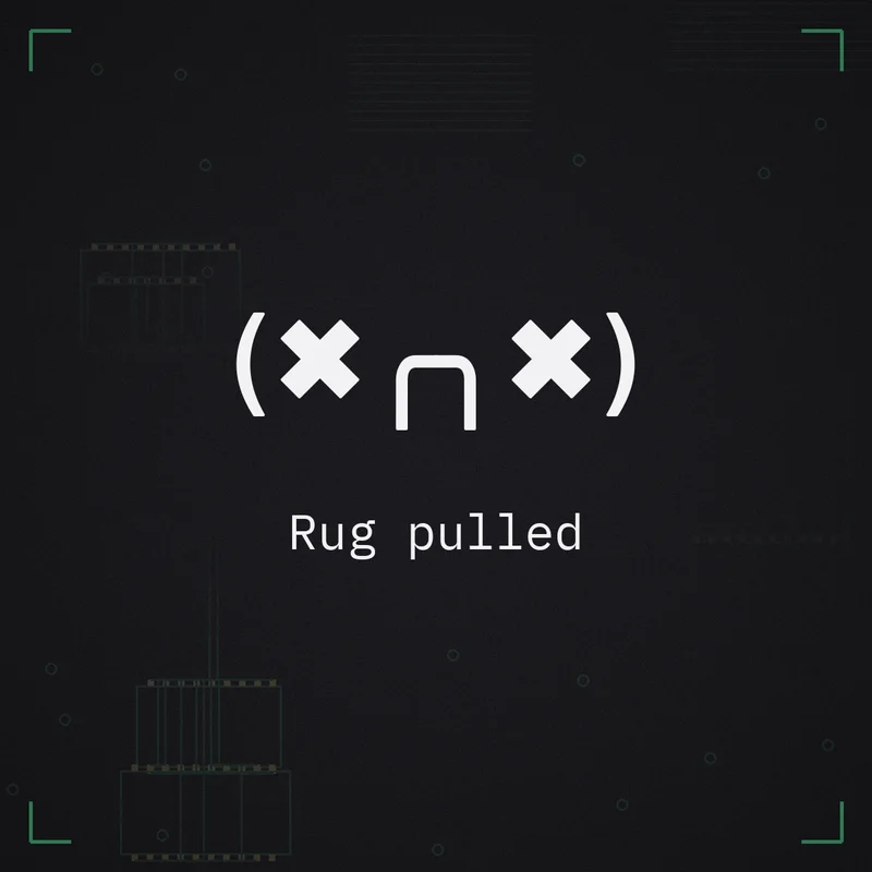 (✖╭╮✖) Rug pulled