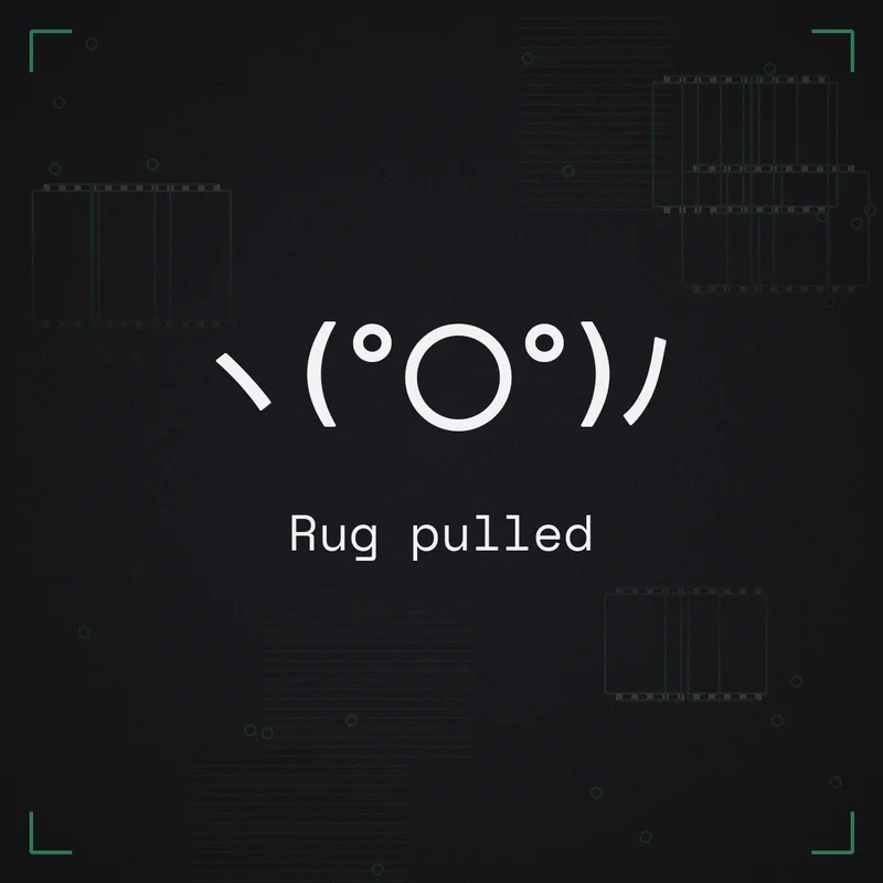 ヽ(°〇°)ノ Rug pulled