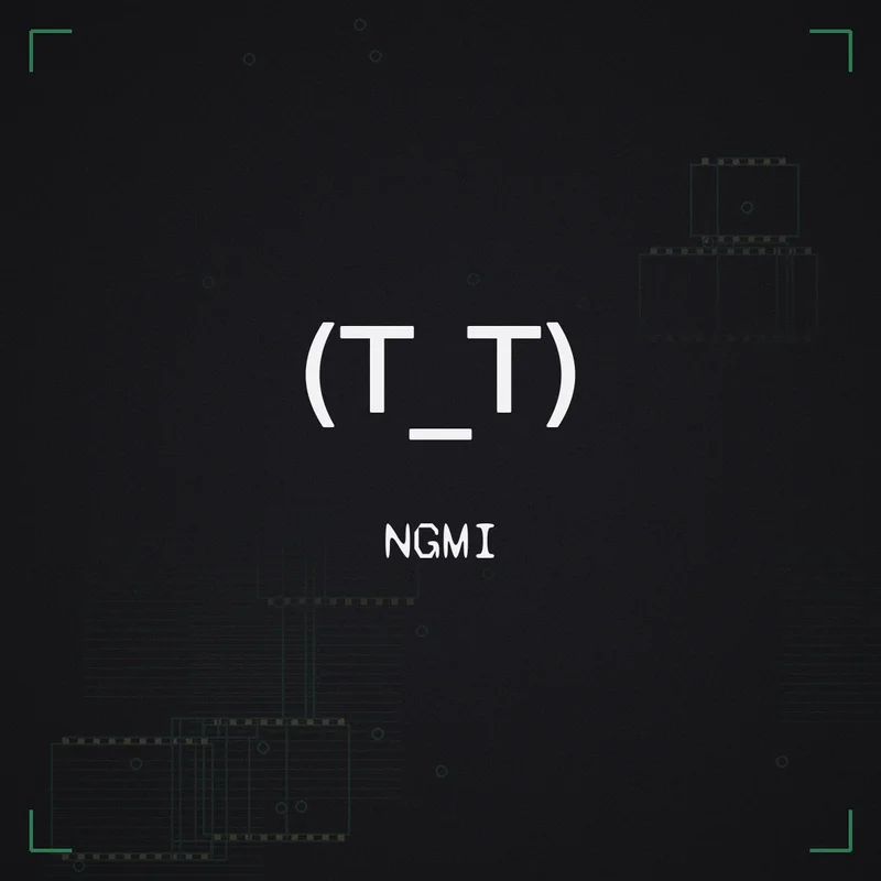 (T_T) NGMI