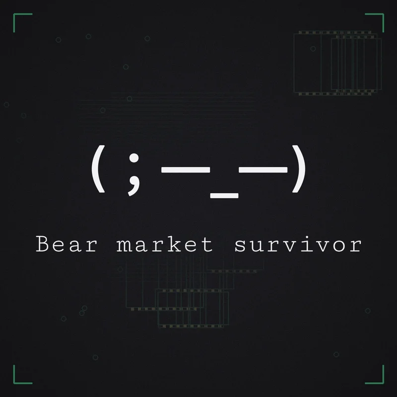 (;一_一) Bear market survivor