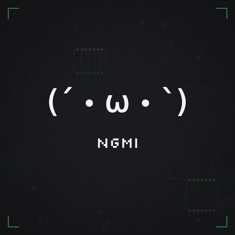(´・ω・`) NGMI