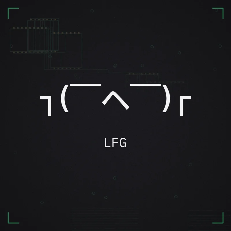 ┐( ̄ヘ ̄)┌ LFG
