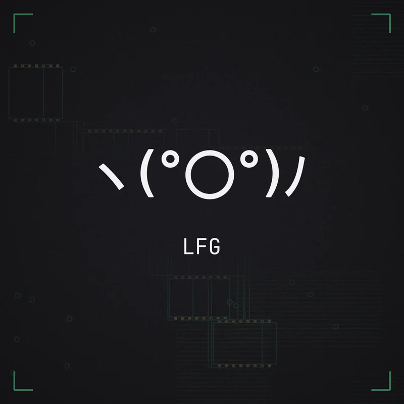 ヽ(°〇°)ノ LFG