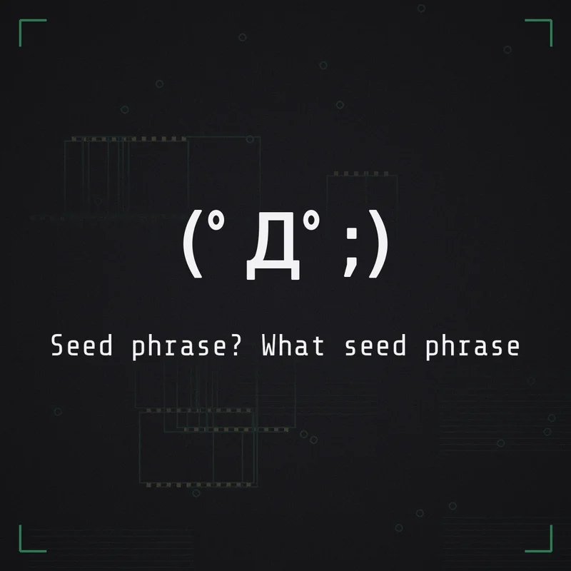 (゜Д゜;) Seed phrase? What seed phrase