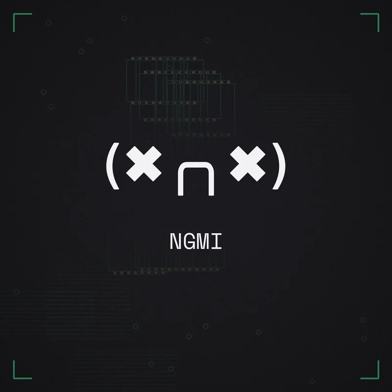 (✖╭╮✖) NGMI