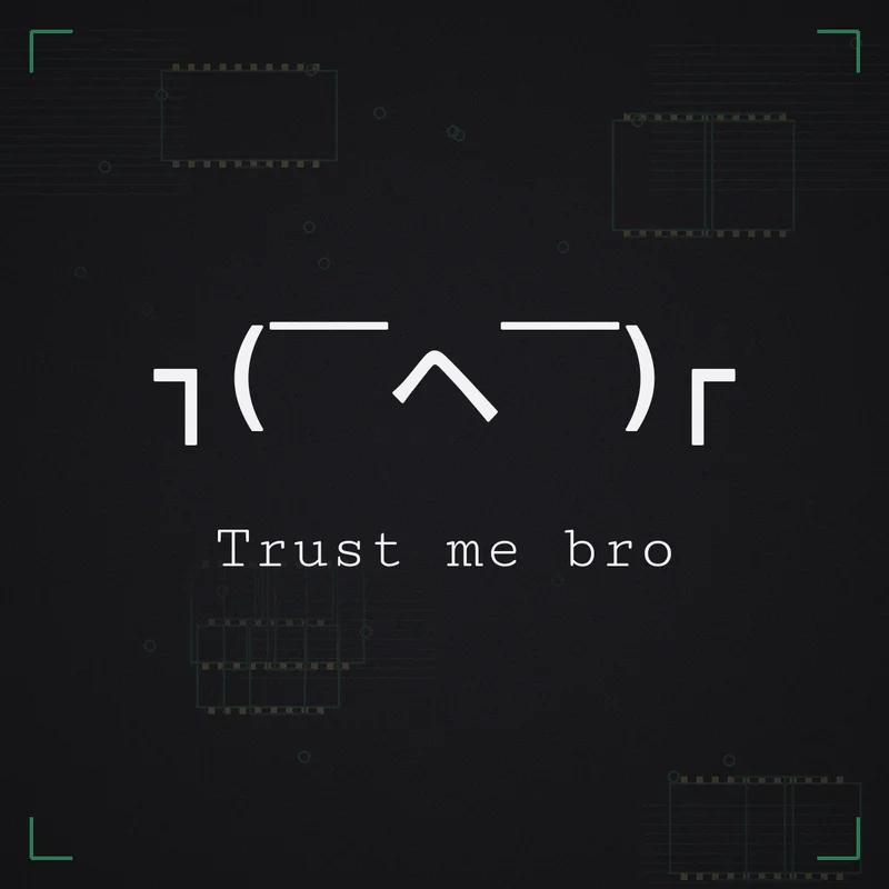 ┐( ̄ヘ ̄)┌ Trust me bro