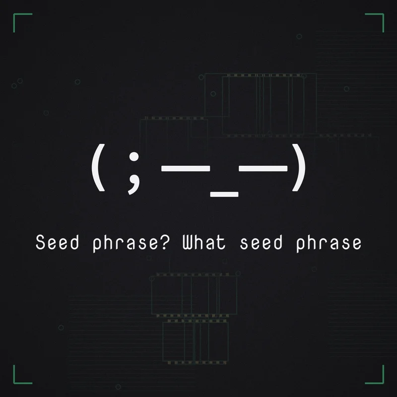 (;一_一) Seed phrase? What seed phrase