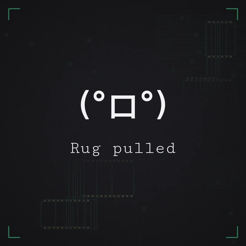 (°ロ°) Rug pulled