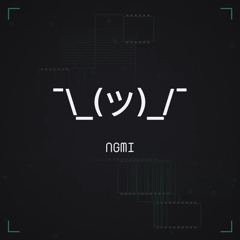 ¯\_(ツ)_/¯ NGMI