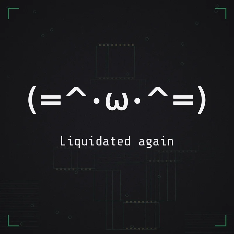 (=^・ω・^=) Liquidated again