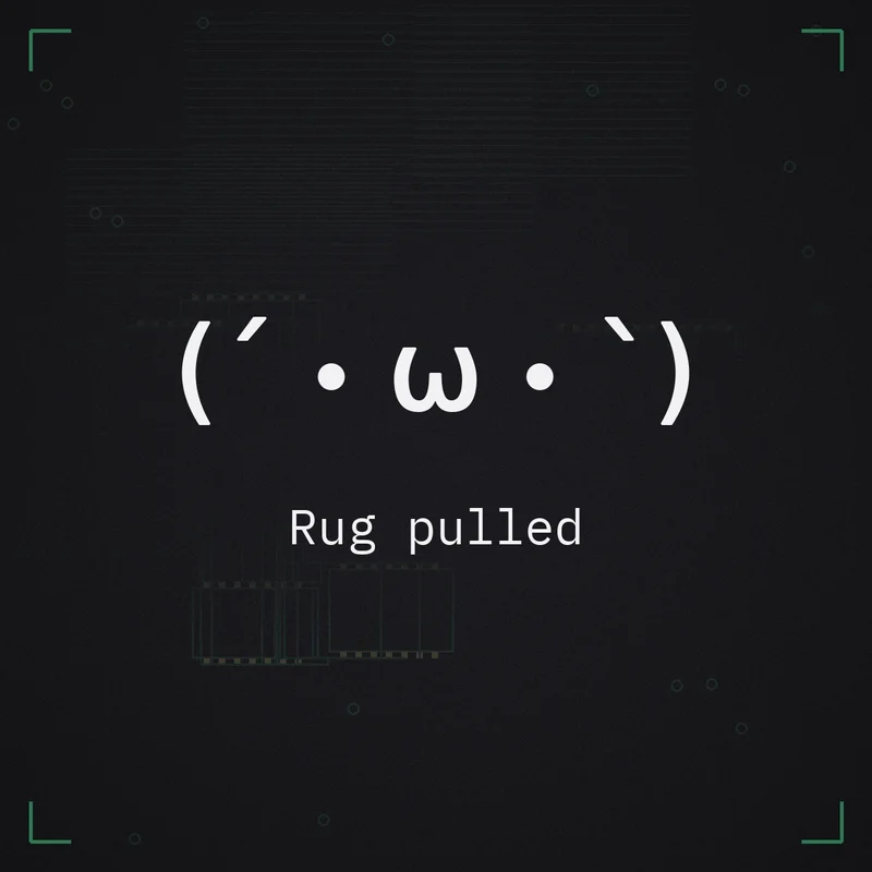 (´・ω・`) Rug pulled