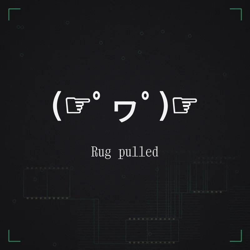 (☞゜ヮ゜)☞ Rug pulled