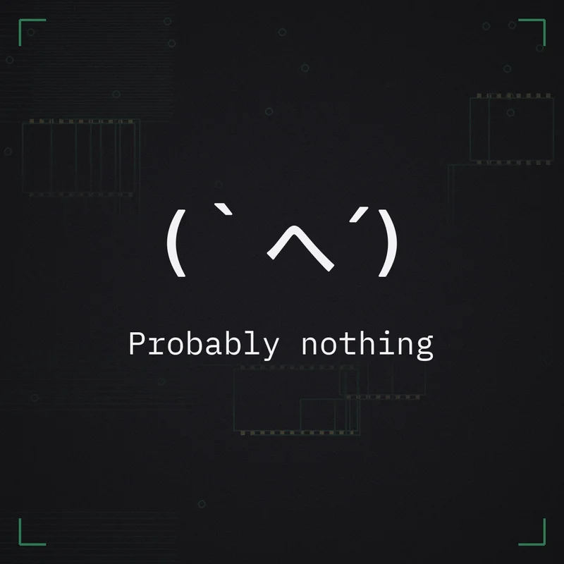 (`へ´) Probably nothing