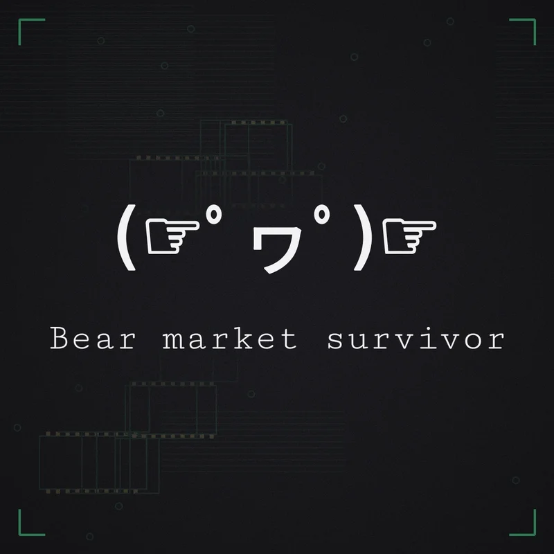 (☞゜ヮ゜)☞ Bear market survivor