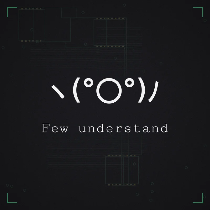 ヽ(°〇°)ノ Few understand
