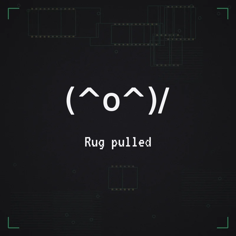 (^o^)/ Rug pulled