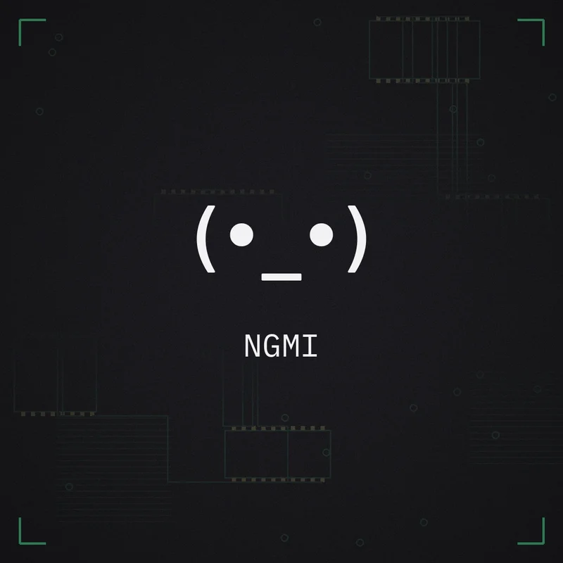 (•_•) NGMI