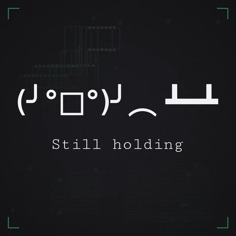 (╯°□°)╯︵ ┻━┻ Still holding