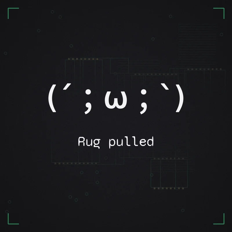 (´;ω;`) Rug pulled
