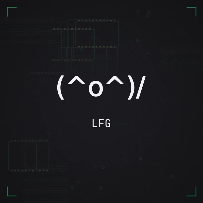 (^o^)/ LFG