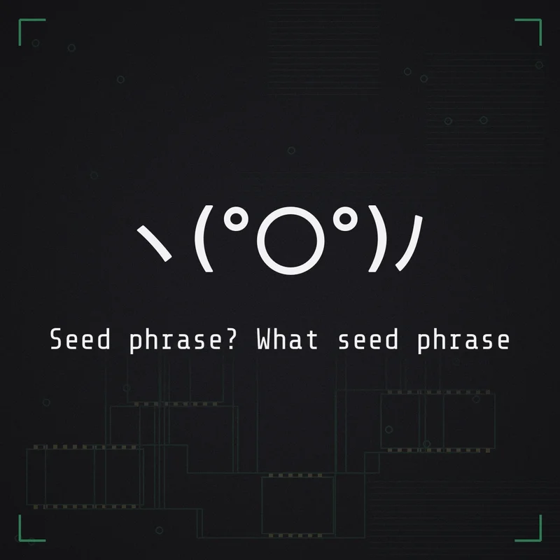 ヽ(°〇°)ノ Seed phrase? What seed phrase