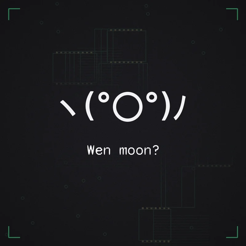 ヽ(°〇°)ノ Wen moon?