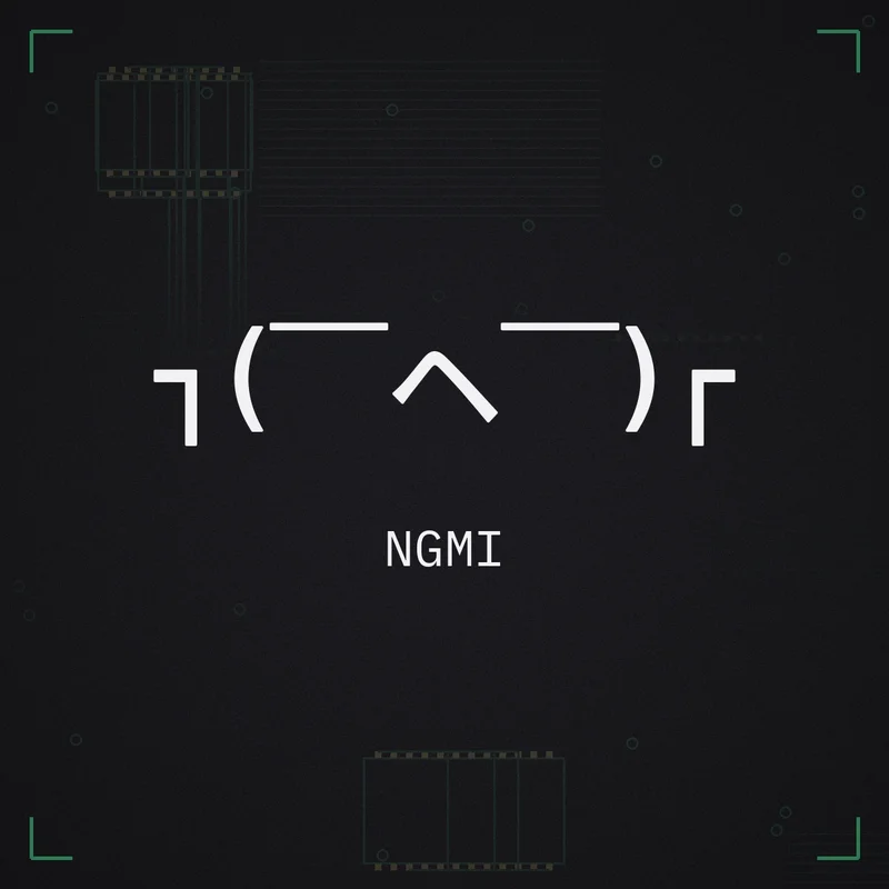 ┐(￣ヘ￣)┌ NGMI