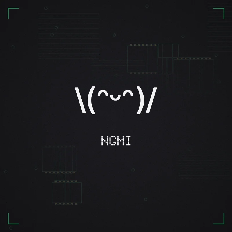 \(ᵔᵕᵔ)/ NGMI