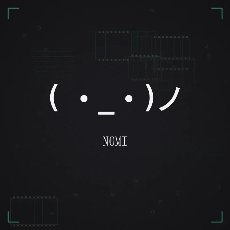 ( ・_・)ノ NGMI