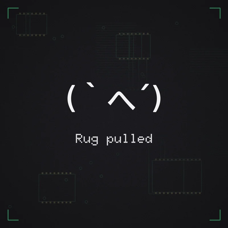 (`へ´) Rug pulled